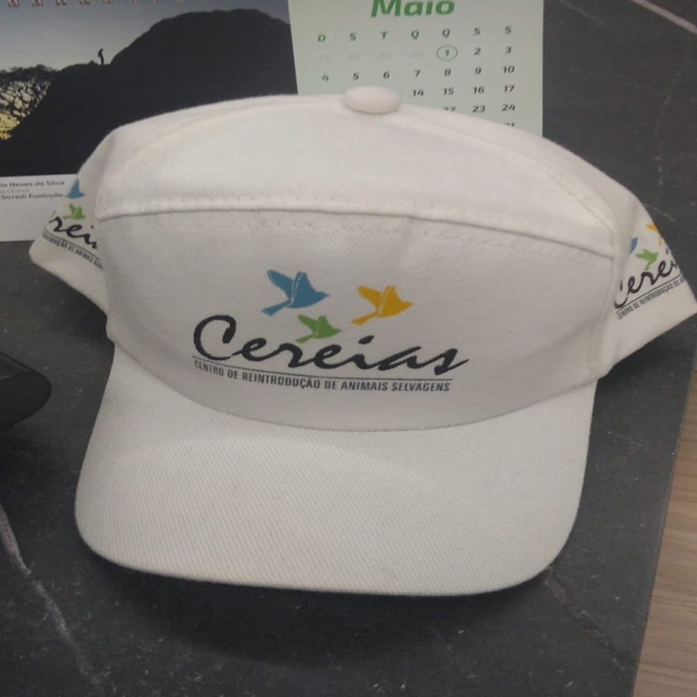 Boné Frances-1806PS