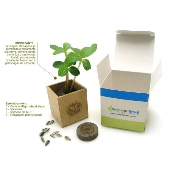 Vasinho Magico Cubo-EB1258